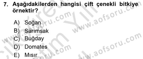 Genel Biyoloji Dersi 2024 - 2025 Yılı Yaz Okulu Sınav Soruları 7. Soru