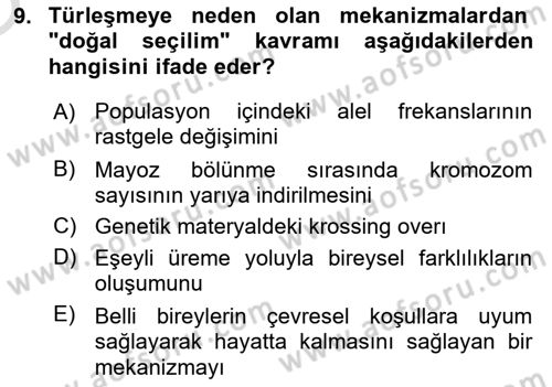 Genel Biyoloji Dersi 2024 - 2025 Yılı Yaz Okulu Sınav Soruları 9. Soru