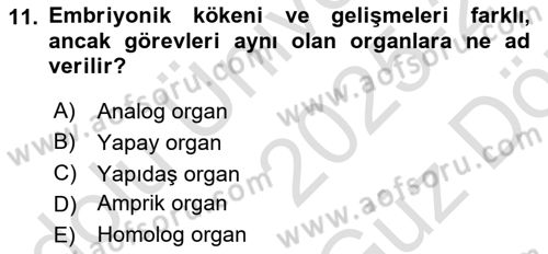 Genel Biyoloji Dersi 2025 - 2026 Yılı (Vize) Ara Sınav Soruları 11. Soru