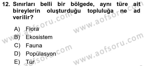 Genel Biyoloji Dersi 2025 - 2026 Yılı (Vize) Ara Sınav Soruları 12. Soru