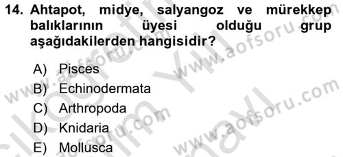 Genel Biyoloji Dersi 2025 - 2026 Yılı (Vize) Ara Sınav Soruları 14. Soru
