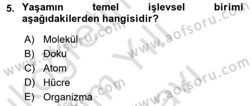 Genel Biyoloji Dersi 2025 - 2026 Yılı (Vize) Ara Sınav Soruları 5. Soru