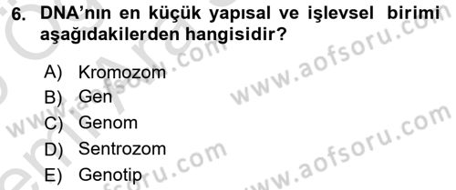 Genel Biyoloji Dersi 2025 - 2026 Yılı (Vize) Ara Sınav Soruları 6. Soru
