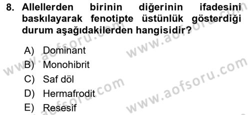 Genel Biyoloji Dersi 2025 - 2026 Yılı (Vize) Ara Sınav Soruları 8. Soru