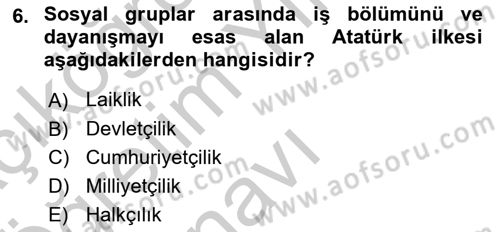 Atatürk İlkeleri Ve İnkılap Tarihi 2 Dersi 2018 - 2019 Yılı Yaz Okulu Sınav Soruları 6. Soru