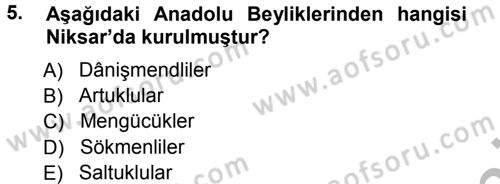 Ortaçağ ve Yeniçağ Türk Devletleri Tarihi Dersi Ara Sınavı Deneme Sınav Soruları 5. Soru