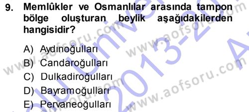 Ortaçağ ve Yeniçağ Türk Devletleri Tarihi Dersi 2013 - 2014 Yılı (Vize) Ara Sınavı 9. Soru