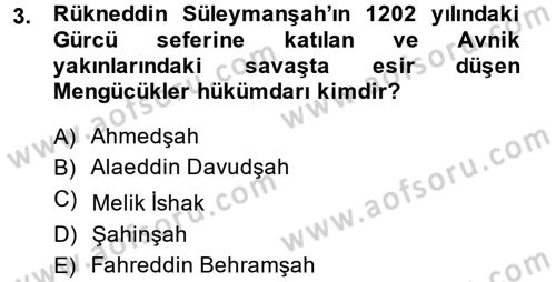Ortaçağ ve Yeniçağ Türk Devletleri Tarihi Dersi Ara Sınavı Deneme Sınav Soruları 3. Soru