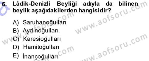 Ortaçağ ve Yeniçağ Türk Devletleri Tarihi Dersi Ara Sınavı Deneme Sınav Soruları 6. Soru