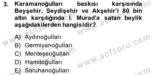 Ortaçağ ve Yeniçağ Türk Devletleri Tarihi Dersi 2014 - 2015 Yılı (Final) Dönem Sonu Sınav Soruları 3. Soru