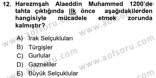 Ortaçağ ve Yeniçağ Türk Devletleri Tarihi Dersi Ara Sınavı Deneme Sınav Soruları 12. Soru