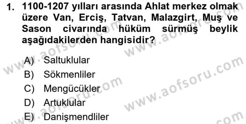 Ortaçağ ve Yeniçağ Türk Devletleri Tarihi Dersi 2016 - 2017 Yılı (Vize) Ara Sınav Soruları 1. Soru