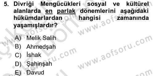 Ortaçağ ve Yeniçağ Türk Devletleri Tarihi Dersi Ara Sınavı Deneme Sınav Soruları 5. Soru
