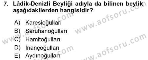 Ortaçağ ve Yeniçağ Türk Devletleri Tarihi Dersi Ara Sınavı Deneme Sınav Soruları 7. Soru