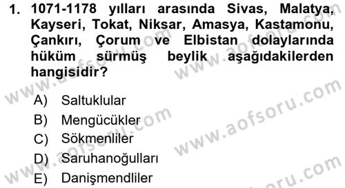 Ortaçağ ve Yeniçağ Türk Devletleri Tarihi Dersi 2016 - 2017 Yılı (Final) Dönem Sonu Sınav Soruları 1. Soru