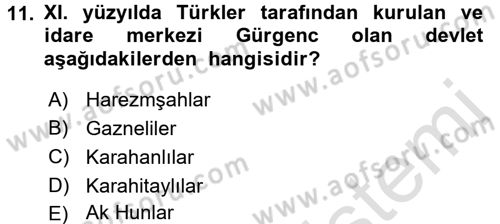 Ortaçağ ve Yeniçağ Türk Devletleri Tarihi Dersi Ara Sınavı Deneme Sınav Soruları 11. Soru