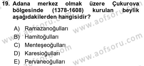 Ortaçağ ve Yeniçağ Türk Devletleri Tarihi Dersi Ara Sınavı Deneme Sınav Soruları 19. Soru