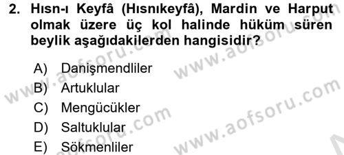Ortaçağ ve Yeniçağ Türk Devletleri Tarihi Dersi Ara Sınavı Deneme Sınav Soruları 2. Soru