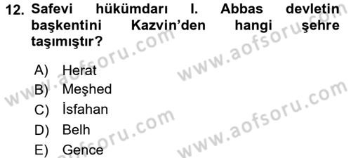 Ortaçağ ve Yeniçağ Türk Devletleri Tarihi Dersi 2017 - 2018 Yılı (Final) Dönem Sonu Sınav Soruları 12. Soru