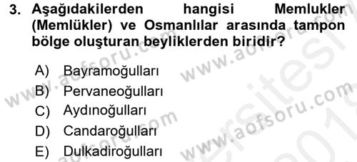 Ortaçağ ve Yeniçağ Türk Devletleri Tarihi Dersi 2017 - 2018 Yılı (Final) Dönem Sonu Sınav Soruları 3. Soru