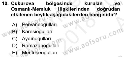 Ortaçağ ve Yeniçağ Türk Devletleri Tarihi Dersi 2018 - 2019 Yılı (Vize) Ara Sınav Soruları 10. Soru