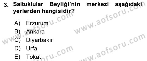 Ortaçağ ve Yeniçağ Türk Devletleri Tarihi Dersi 2018 - 2019 Yılı (Vize) Ara Sınav Soruları 3. Soru