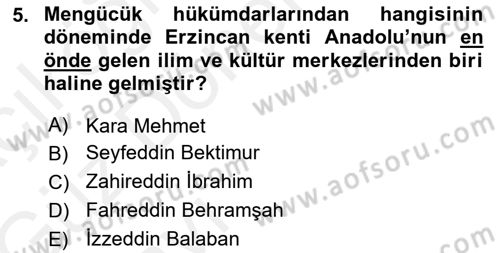 Ortaçağ ve Yeniçağ Türk Devletleri Tarihi Dersi 2018 - 2019 Yılı (Vize) Ara Sınavı 5. Soru