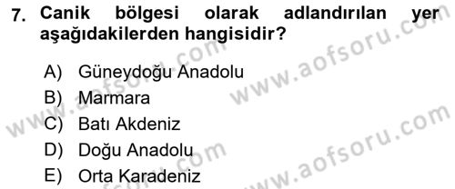 Ortaçağ ve Yeniçağ Türk Devletleri Tarihi Dersi 2018 - 2019 Yılı (Vize) Ara Sınav Soruları 7. Soru