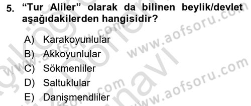 Ortaçağ ve Yeniçağ Türk Devletleri Tarihi Dersi 2019 - 2020 Yılı (Final) Dönem Sonu Sınav Soruları 5. Soru