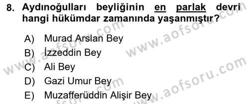 Ortaçağ ve Yeniçağ Türk Devletleri Tarihi Dersi Ara Sınavı Deneme Sınav Soruları 8. Soru