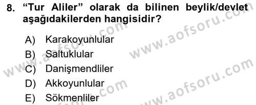 Ortaçağ ve Yeniçağ Türk Devletleri Tarihi Dersi 2021 - 2022 Yılı (Final) Dönem Sonu Sınav Soruları 8. Soru