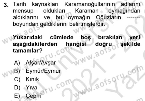 Ortaçağ ve Yeniçağ Türk Devletleri Tarihi Dersi 2021 - 2022 Yılı Yaz Okulu Sınav Soruları 3. Soru