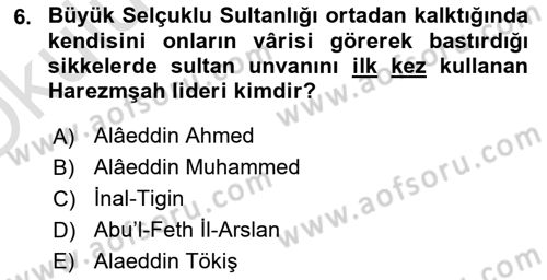 Ortaçağ ve Yeniçağ Türk Devletleri Tarihi Dersi 2022 - 2023 Yılı Yaz Okulu Sınav Soruları 6. Soru