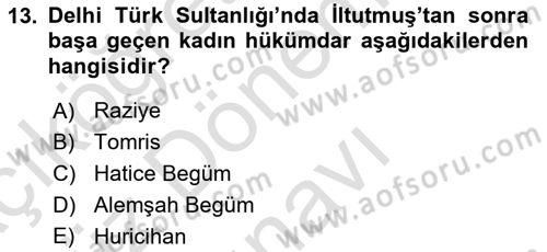 Ortaçağ ve Yeniçağ Türk Devletleri Tarihi Dersi 2023 - 2024 Yılı (Final) Dönem Sonu Sınav Soruları 13. Soru