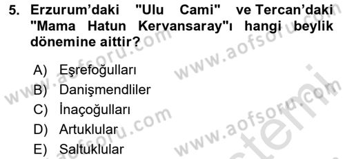 Ortaçağ ve Yeniçağ Türk Devletleri Tarihi Dersi 2023 - 2024 Yılı Yaz Okulu Sınav Soruları 5. Soru