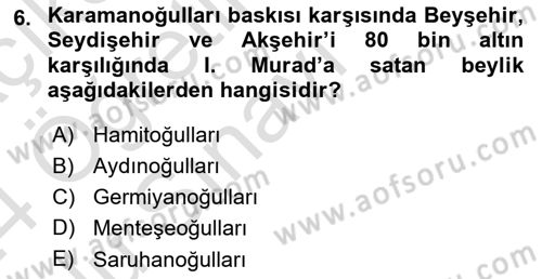Ortaçağ ve Yeniçağ Türk Devletleri Tarihi Dersi 2023 - 2024 Yılı Yaz Okulu Sınav Soruları 6. Soru