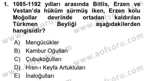 Ortaçağ ve Yeniçağ Türk Devletleri Tarihi Dersi Ara Sınavı Deneme Sınav Soruları 1. Soru