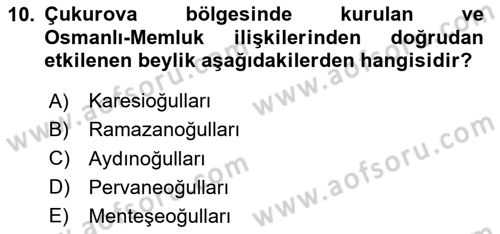 Ortaçağ ve Yeniçağ Türk Devletleri Tarihi Dersi 2024 - 2025 Yılı (Vize) Ara Sınav Soruları 10. Soru