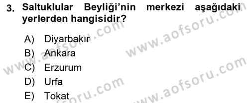 Ortaçağ ve Yeniçağ Türk Devletleri Tarihi Dersi Ara Sınavı Deneme Sınav Soruları 3. Soru