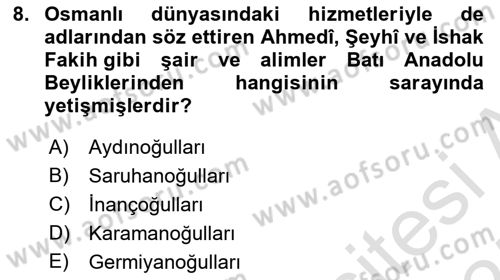 Ortaçağ ve Yeniçağ Türk Devletleri Tarihi Dersi 2024 - 2025 Yılı (Vize) Ara Sınav Soruları 8. Soru