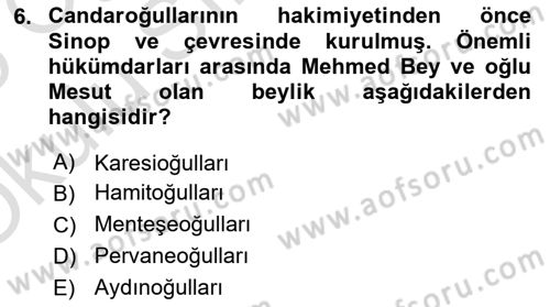 Ortaçağ ve Yeniçağ Türk Devletleri Tarihi Dersi 2024 - 2025 Yılı Yaz Okulu Sınav Soruları 6. Soru