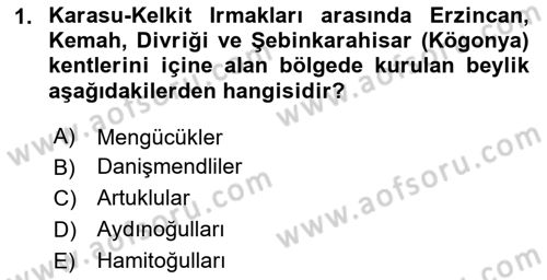 Ortaçağ ve Yeniçağ Türk Devletleri Tarihi Dersi 2025 - 2026 Yılı (Vize) Ara Sınav Soruları 1. Soru