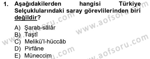 Türkiye Selçuklu Tarihi Dersi 2012 - 2013 Yılı (Final) Dönem Sonu Sınav Soruları 1. Soru