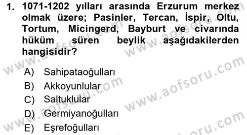 Türkiye Selçuklu Tarihi Dersi 2016 - 2017 Yılı (Vize) Ara Sınav Soruları 1. Soru