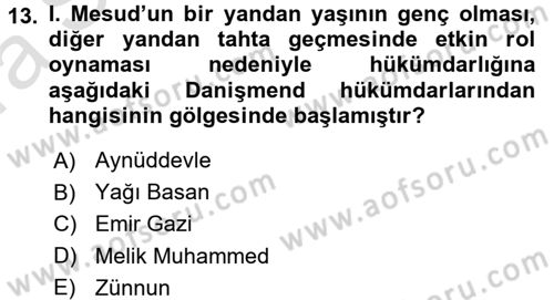 Türkiye Selçuklu Tarihi Dersi 2016 - 2017 Yılı (Vize) Ara Sınav Soruları 13. Soru