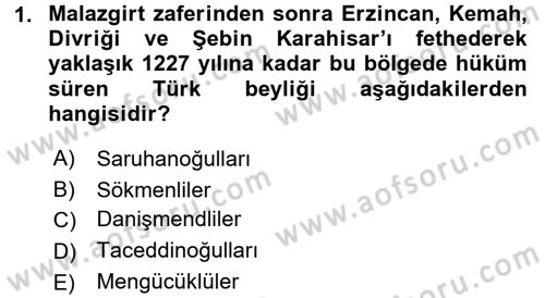 Türkiye Selçuklu Tarihi Dersi 2017 - 2018 Yılı (Vize) Ara Sınav Soruları 1. Soru