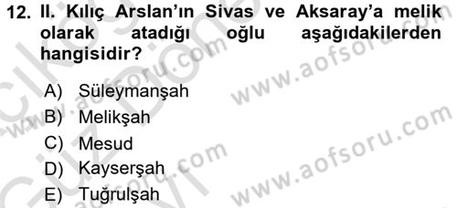 Türkiye Selçuklu Tarihi Dersi 2017 - 2018 Yılı (Vize) Ara Sınav Soruları 12. Soru