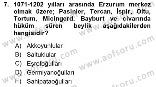 Türkiye Selçuklu Tarihi Dersi 2018 - 2019 Yılı Yaz Okulu Sınav Soruları 7. Soru