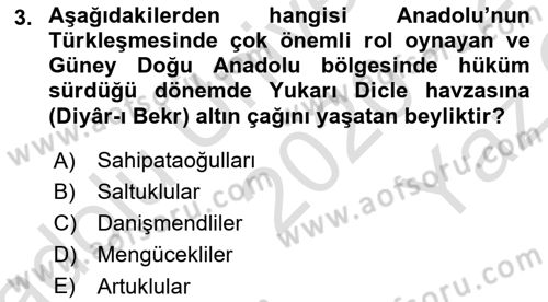 Türkiye Selçuklu Tarihi Dersi 2020 - 2021 Yılı Yaz Okulu Sınav Soruları 3. Soru