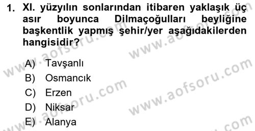 Türkiye Selçuklu Tarihi Dersi Ara Sınavı Deneme Sınav Soruları 1. Soru